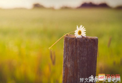 关于关心则乱名言