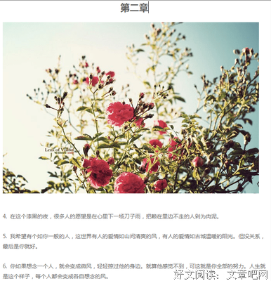 《摆渡人》经典的句子大全