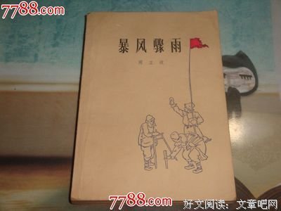 最全的《暴风雨》小说书摘