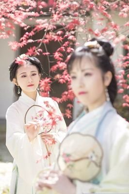 最全的《相见欢》经典句子