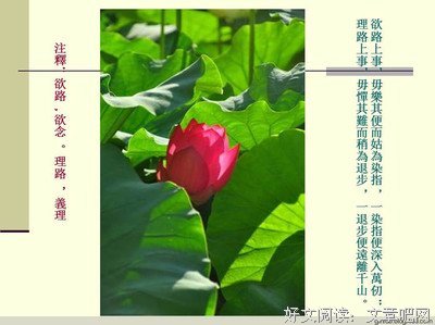 《菜根谭》语录摘抄