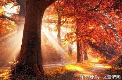 最经典的《视觉志》好段摘抄