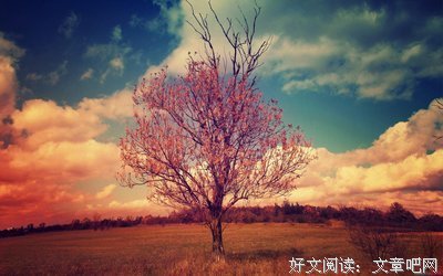 《失恋33天》小说摘抄