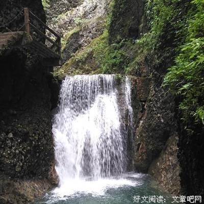 最全的《一品仵作》小说摘抄