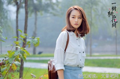 最全的《一树人生》经典的句子