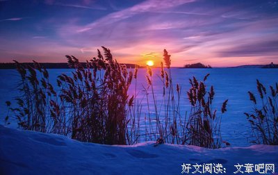 有血有肉的语句摘抄_关于有血有肉的语句