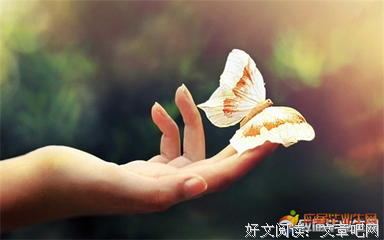 关于许仙的语句