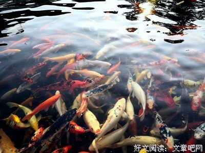 卡尔的名句_关于卡尔的名句