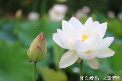 心中的苦，只有自己懂
