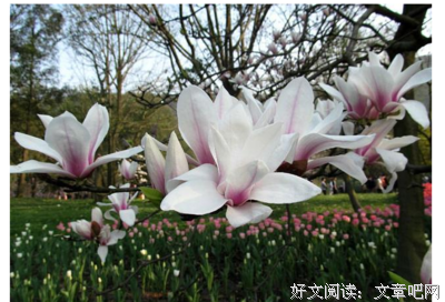霸天出句子大全