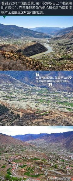 最新的金川诗歌名言名句