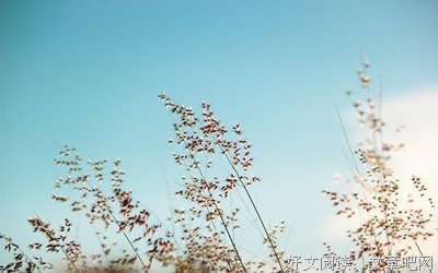 《万箭穿心》小说句子大全