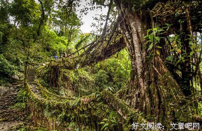 最全的《三十而立》名句欣赏