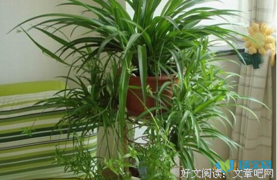 最经典的《你的名字》好段摘抄大全