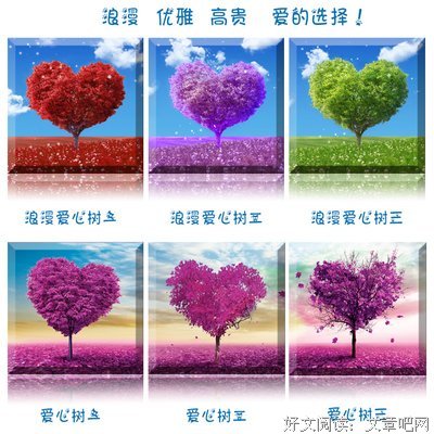 最新的《十字火焰》经典的句子