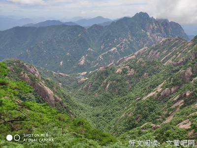 最经典的《君临臣下》经典名句