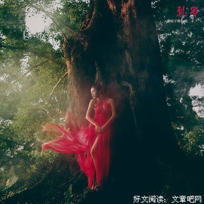 最新的《四月裂帛》佳句摘抄