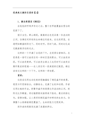 最经典的《她很漂亮》好段摘抄大全