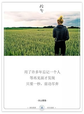 成年人的爱情：转账和娶你