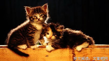 最经典的《恋爱风线》语录摘抄