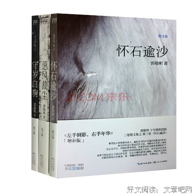 《愿风裁尘》小说书摘