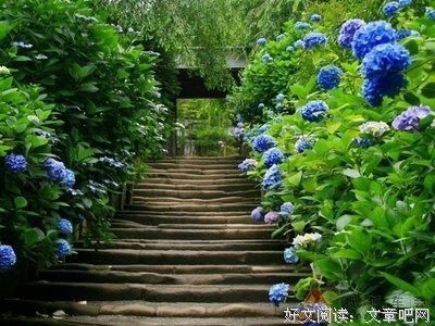 白日做梦的名言_关于白日做梦的名言