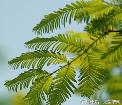 见异思迁的名言_关于见异思迁的名言