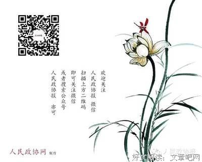 有关暮青的美文美句摘抄