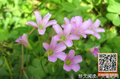 *春风风自比物为不如你经典的句子
