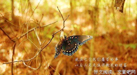 存句子