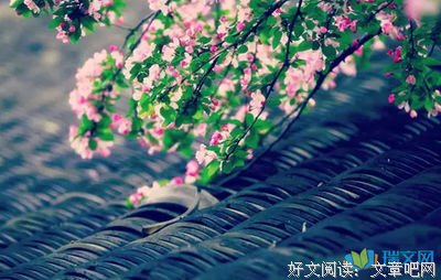 木炭好词好句