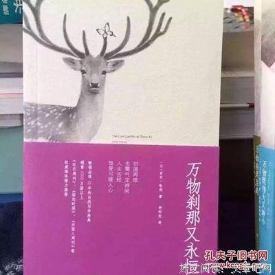 吉米·哈利名言
