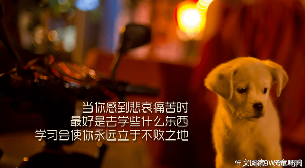 埃里克·霍弗名言大全