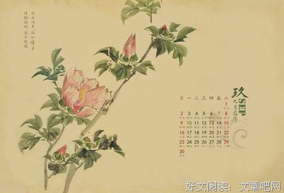关于奥托·魏宁格名言名句