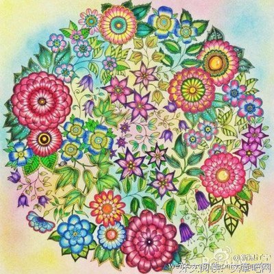 最新的《秘密花园》经典名句大全