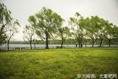 柳飘的句子
