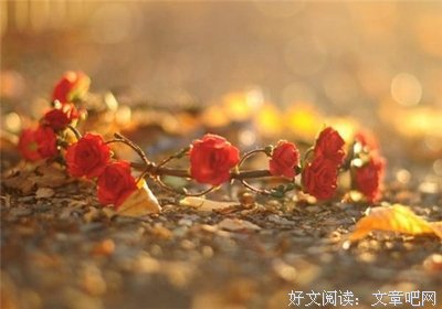关于迷惑不解名言名句