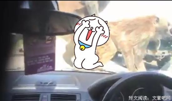 翻云覆雨的语句摘抄_关于翻云覆雨的语句