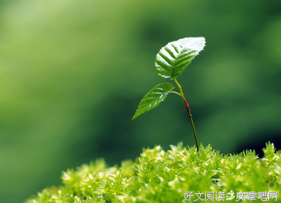 蒙蒙的爱句子