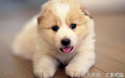 己守好词好句