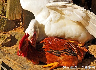 恋爱7年异地7年，凭什么他们可以笑到最后？