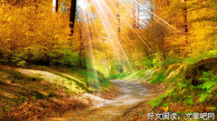 最全的《雨》经典句子