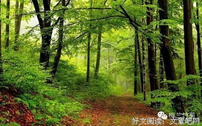 最全的《黄金时代》经典语录大全