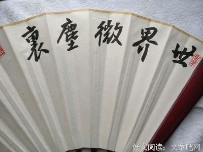 最全的《世界微尘里》佳句摘抄