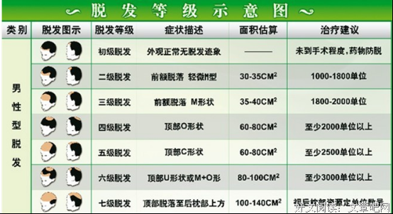 2019脱发等级对照表