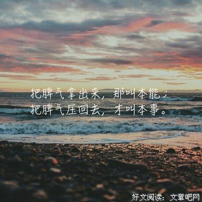 最经典的《君子有九思》小说书摘