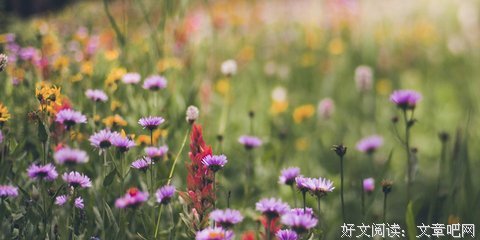 生活句子