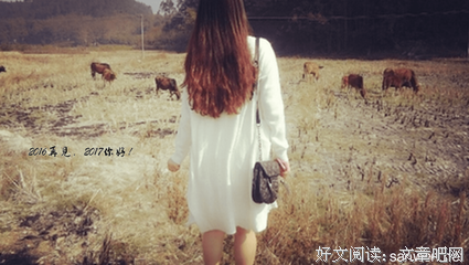 清欢与共句子大全