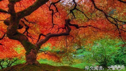 关于不经意触动的优美句子