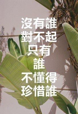 有关挚爱的句子